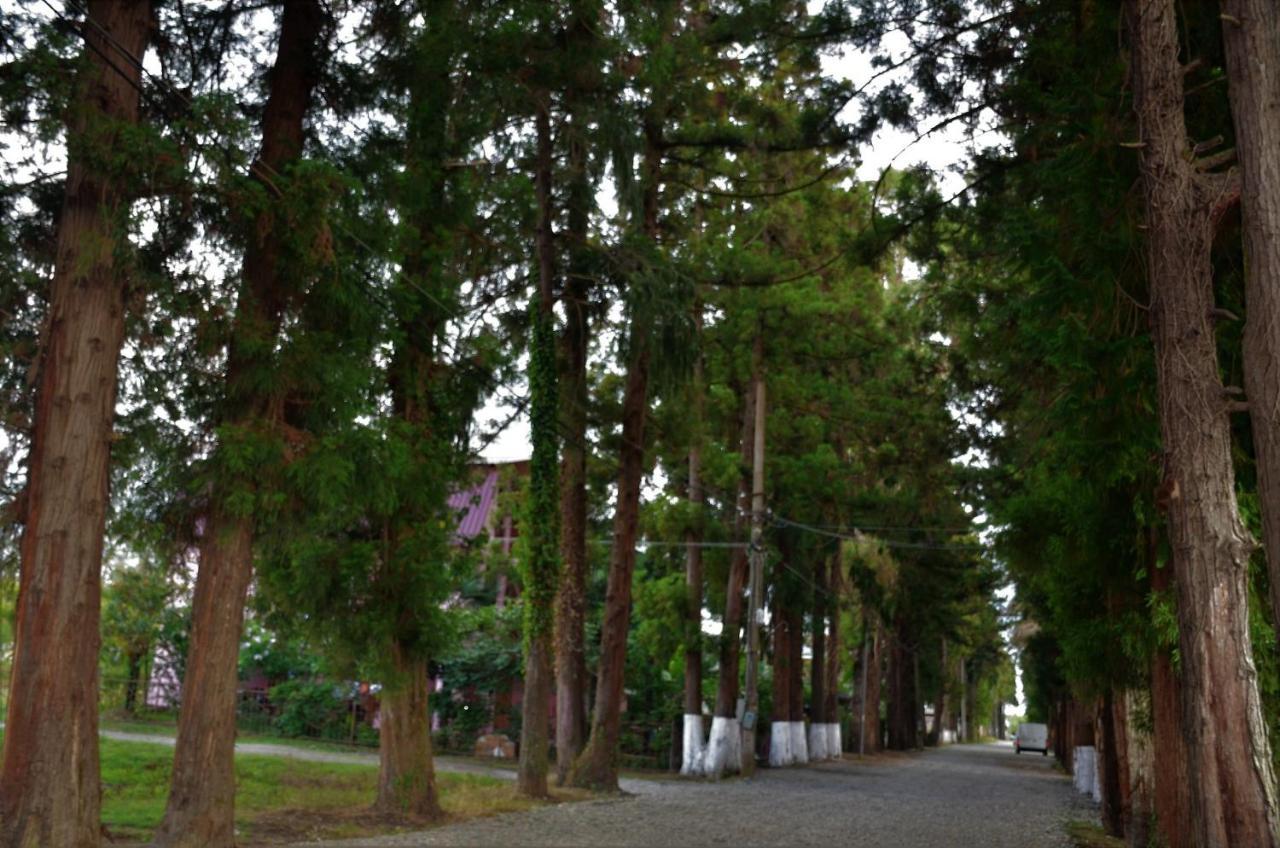 Bed and Breakfast Maka Уреки Экстерьер фото